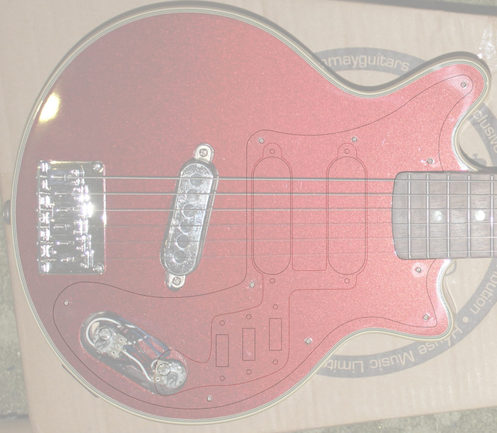 Body with new pickguard